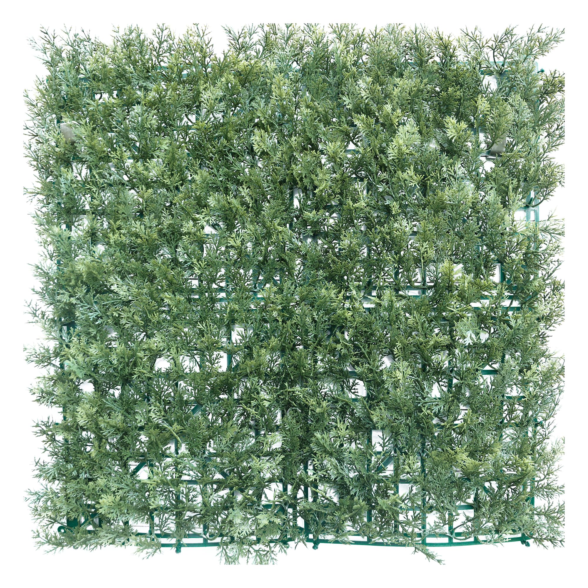 Amazon.com: COARBOR 人造黃楊木蕨類植物圍欄人造常春藤圍欄隱私修剪